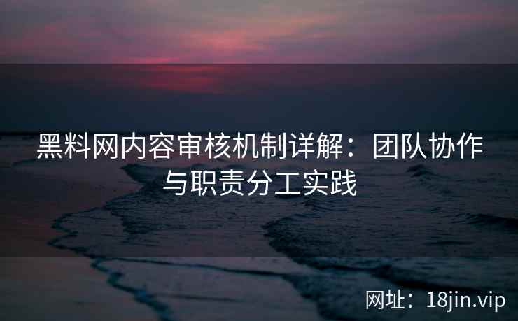 黑料网内容审核机制详解：团队协作与职责分工实践