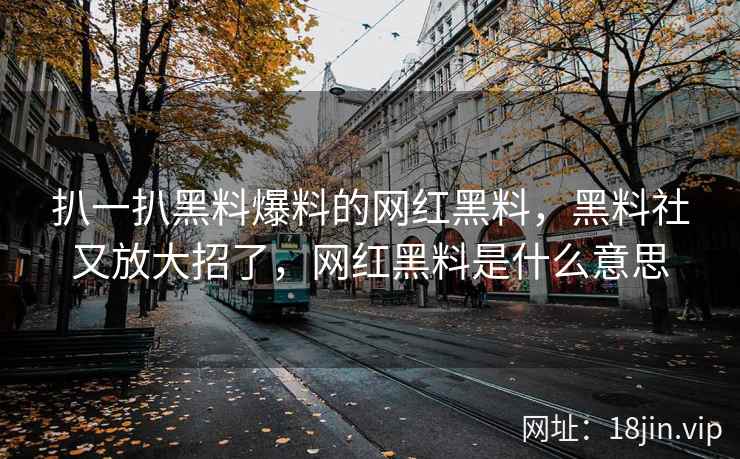 扒一扒黑料爆料的网红黑料，黑料社又放大招了，网红黑料是什么意思
