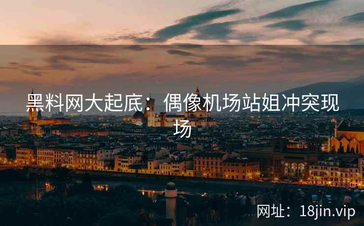 黑料网大起底：偶像机场站姐冲突现场