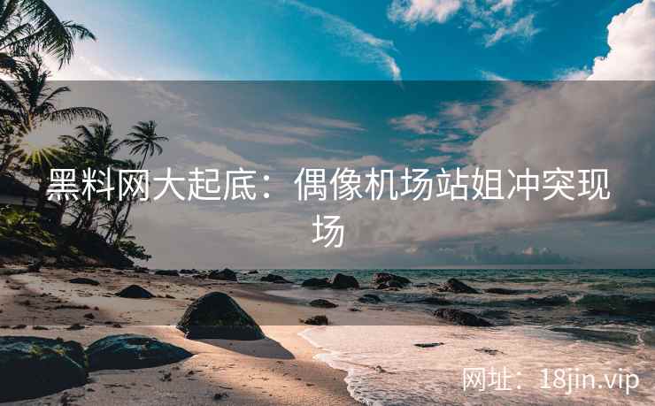 黑料网大起底：偶像机场站姐冲突现场